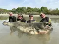Czterech wędkarzy z gigantycznym sumem, którego waga to sum 300 kg. Ryba jest ogromna, z szeroko otwartą paszczą.