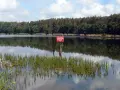 Spokojne **tuczno jezioro** z odbijającym się lasem w tafli wody. Na brzegu rośnie trawa, a w oddali czerwony znak.