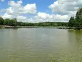 Spokojny zalew Czarna Białostocka z drewnianym pomostem i zielonymi drzewami w tle.