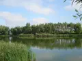 Spokojne łowisko Krzekotowo z zieloną linią drzew i trzcin, odbijających się w tafli wody.