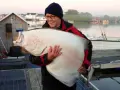 Szczęśliwy wędkarz z ogromnym halibutem. Zapach halibut na jakie ryby? Ten gigant to dowód, że warto łowić!