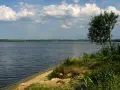Spokojny, szeroki dzierżno duże z piaszczystym brzegiem i drzewem na pierwszym planie. W oddali widoczny las i kominy.