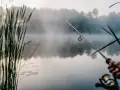 Mglisty poranek nad jeziorem, trzciny i wędka w dłoni. Idealny czas, kiedy najlepiej biorą ryby, by cieszyć się spokojem i łowić.