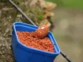 Niebieskie pudełko z pomarańczowym pelletem, idealne do nauki, jak samemu zrobić pellet na ryby.
