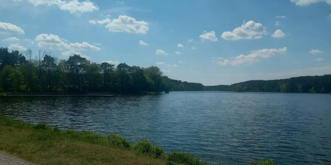 Spokojne jezioro soczewka otoczone zielonym lasem, z piaszczystą ścieżką i trawą na pierwszym planie.