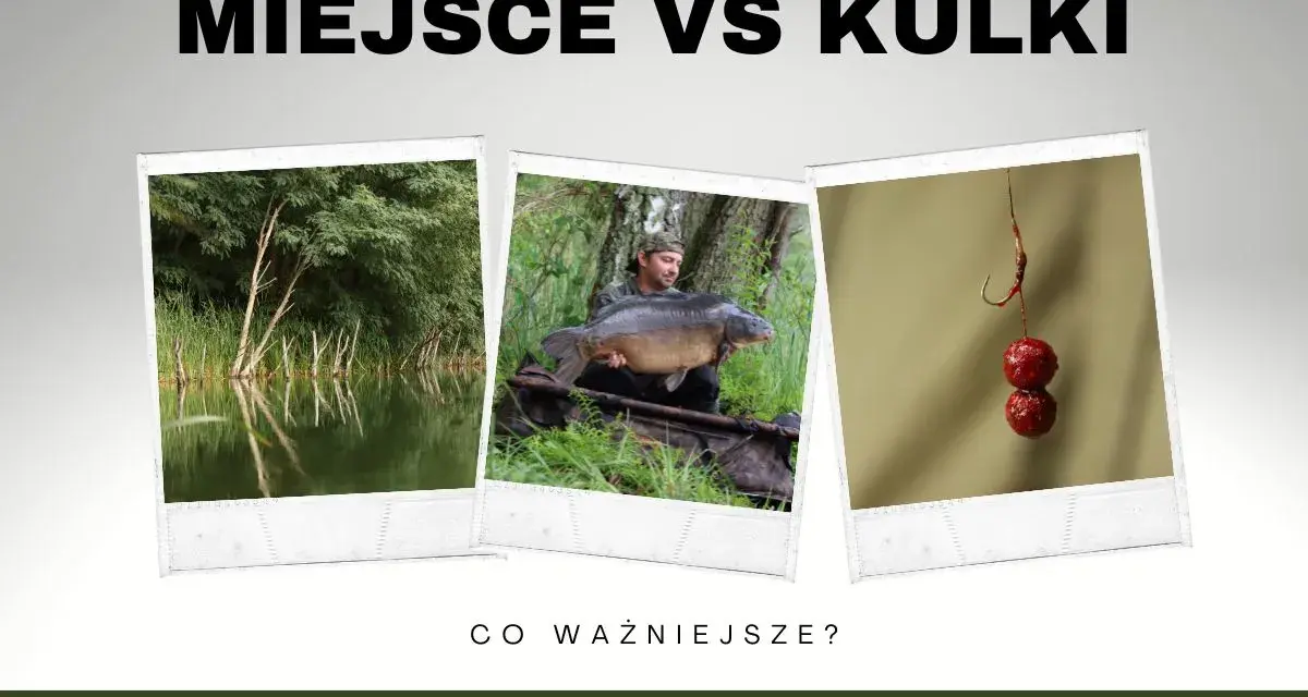 Wędkarz z okazałym karpiem, miejsce połowu i kulki proteinowe. Co jest ważniejsze w udanym połowie karpia?
