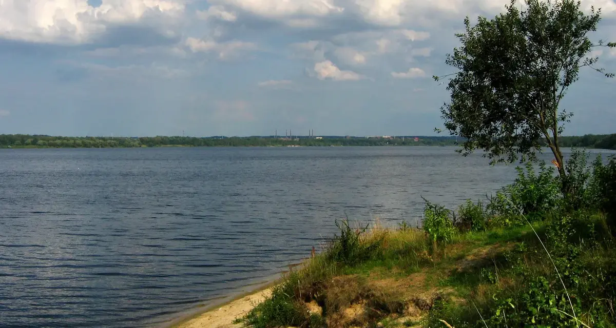 Spokojny, szeroki dzierżno duże z piaszczystym brzegiem i drzewem na pierwszym planie. W oddali widoczny las i kominy.