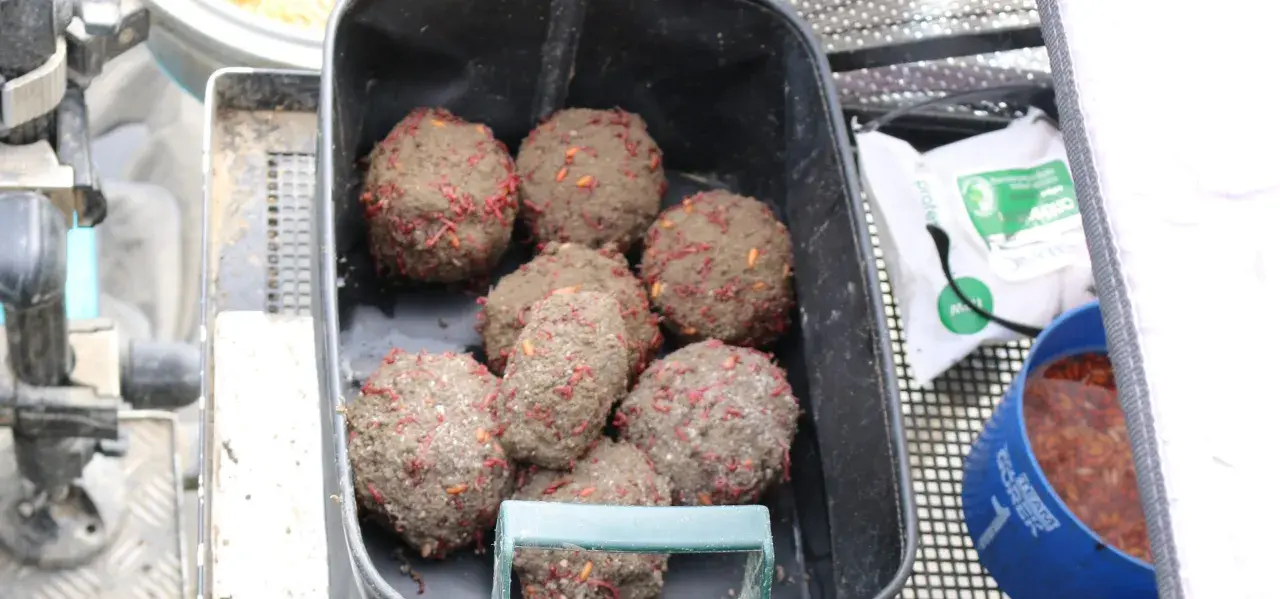 Kulki zanętowe z widocznymi robakami, gotowe do użycia.