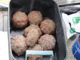Kulki zanętowe z widocznymi robakami, gotowe do użycia.