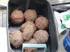 Kulki zanętowe z widocznymi robakami, gotowe do użycia.