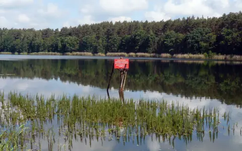 Spokojne **tuczno jezioro** z odbijającym się lasem w tafli wody. Na brzegu rośnie trawa, a w oddali czerwony znak.