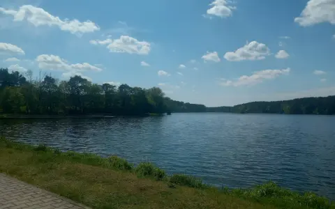 Spokojne jezioro soczewka otoczone zielonym lasem, z piaszczystą ścieżką i trawą na pierwszym planie.