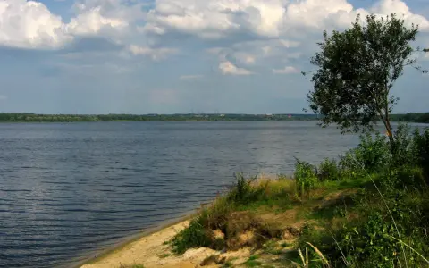 Spokojny, szeroki dzierżno duże z piaszczystym brzegiem i drzewem na pierwszym planie. W oddali widoczny las i kominy.