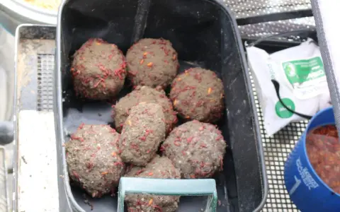 Kulki zanętowe z widocznymi robakami, gotowe do użycia.