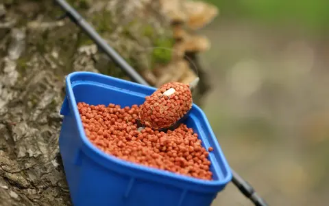 Niebieskie pudełko z pomarańczowym pelletem, idealne do nauki, jak samemu zrobić pellet na ryby.