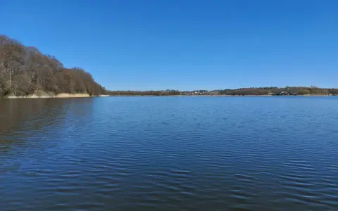 Spokojne jezioro tuchomskie, gdzie w głębinach kryją się ryby. Wiosenna zieleń i błękit nieba.