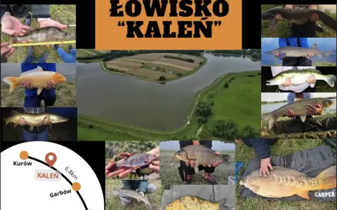Łowisko "Kaleń" oferuje wspaniałe połowy: karpie, szczupaki, sandacze i inne ryby.