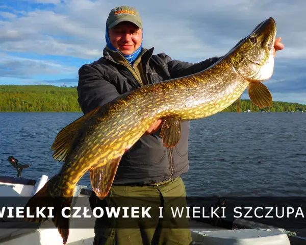 Szczęśliwy wędkarz trzyma ogromnego szczupaka na tle jeziora i zielonych łąk.