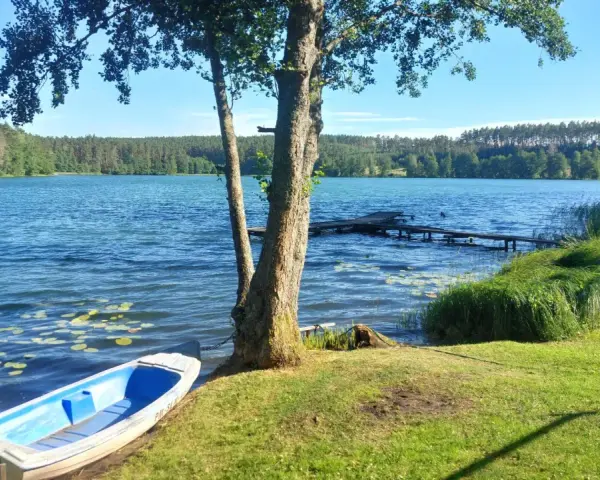 Spokojne jezioro zamkowe z łódką przy brzegu, drewnianym pomostem i lasem w tle.