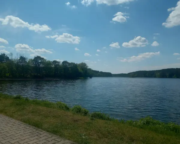 Spokojne jezioro soczewka otoczone zielonym lasem, z piaszczystą ścieżką i trawą na pierwszym planie.