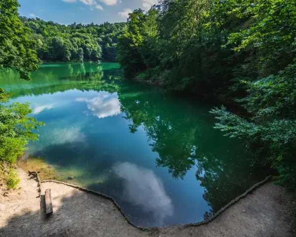 Malownicze jezioro szmaragdowe w Koninie otoczone bujną zielenią.