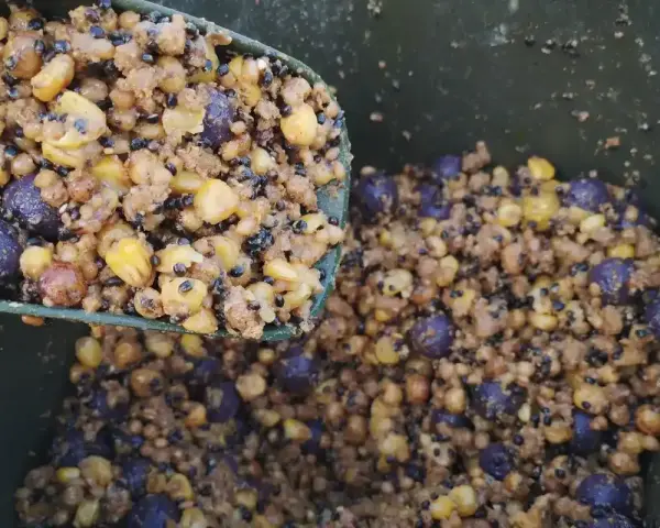 Mieszanka ziaren, kukurydzy i kulek, idealna do tego, czym karpie lubią być karmione.