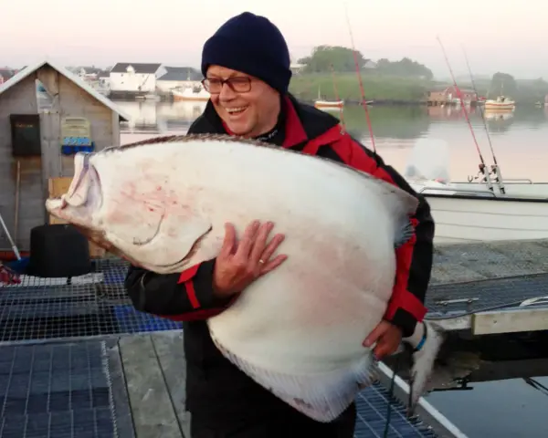 Szczęśliwy wędkarz z ogromnym halibutem. Zapach halibut na jakie ryby? Ten gigant to dowód, że warto łowić!