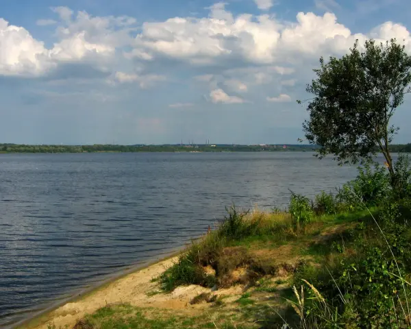 Spokojny, szeroki dzierżno duże z piaszczystym brzegiem i drzewem na pierwszym planie. W oddali widoczny las i kominy.