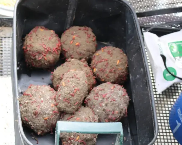 Kulki zanętowe z widocznymi robakami, gotowe do użycia.