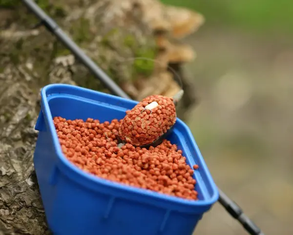Niebieskie pudełko z pomarańczowym pelletem, idealne do nauki, jak samemu zrobić pellet na ryby.