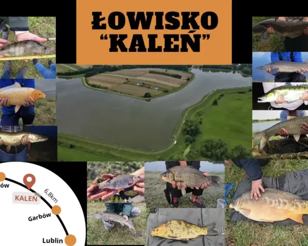 Łowisko "Kaleń" oferuje wspaniałe połowy: karpie, szczupaki, sandacze i inne ryby.
