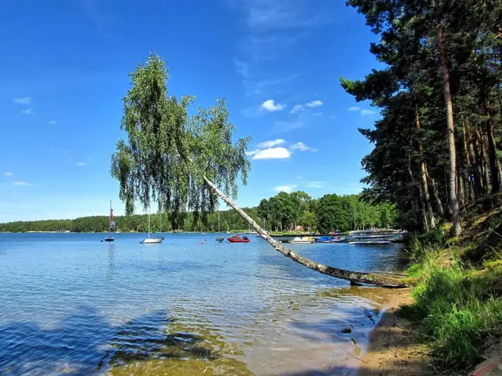 Malownicze jezioro Grabowskie z pochylonym drzewem nad wodą, łodziami i lasem w tle.