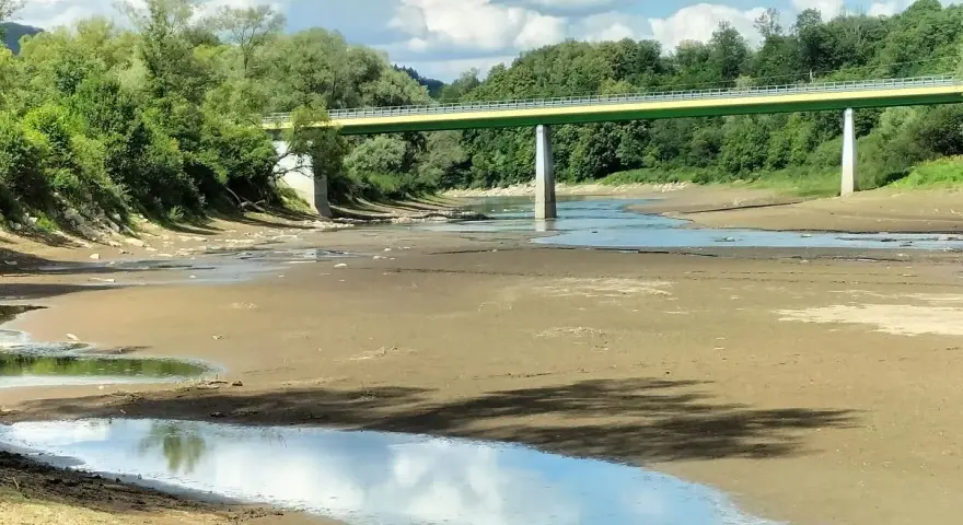 Niski stan wody w rzece, odsłonięte dno i nieliczne kałuże. Gdzie szukać suma w rzece? Pod mostem, w głębszych miejscach.