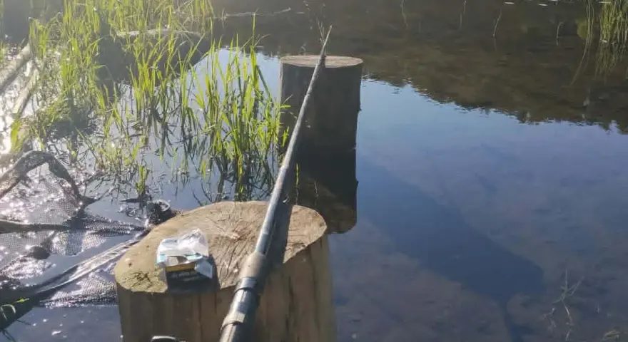 Wędka i podbierak nad jeziorem Kunów. Czekam na branie wśród trzcin i odbijających się w wodzie drzew.