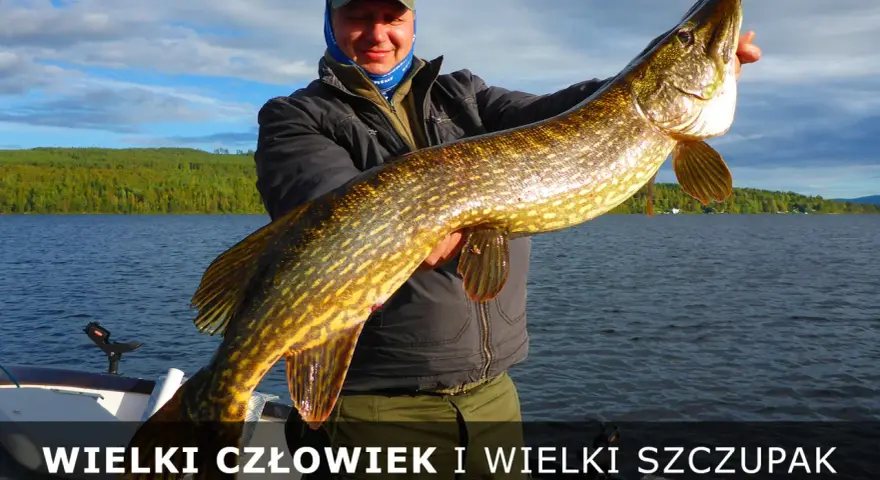 Szczęśliwy wędkarz trzyma ogromnego szczupaka na tle jeziora i zielonych łąk.