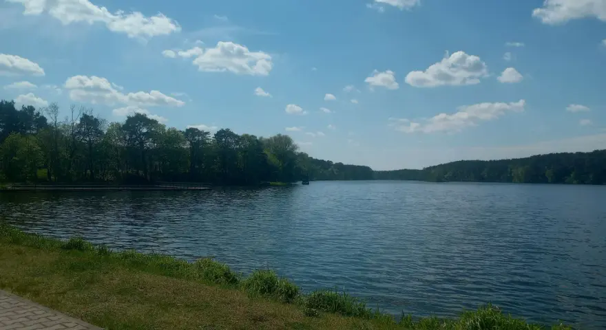 Spokojne jezioro soczewka otoczone zielonym lasem, z piaszczystą ścieżką i trawą na pierwszym planie.