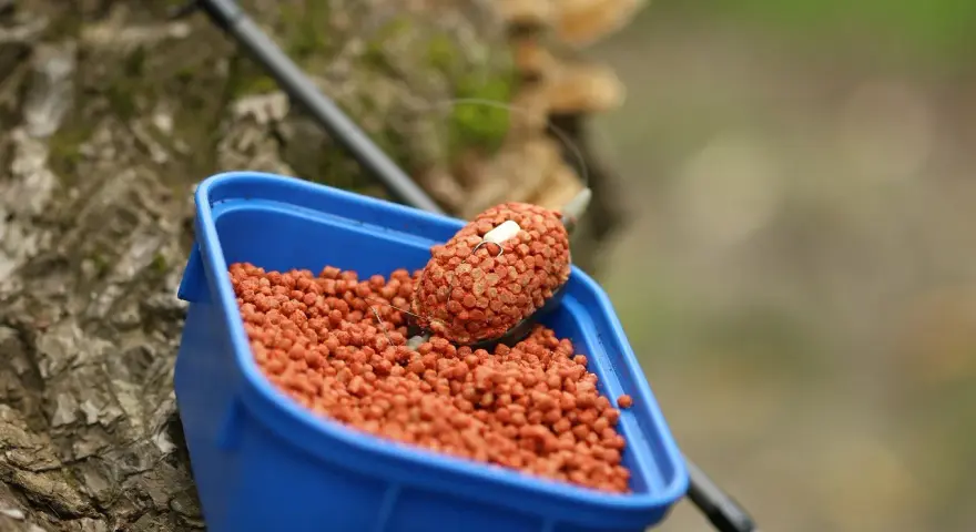 Niebieskie pudełko z pomarańczowym pelletem, idealne do nauki, jak samemu zrobić pellet na ryby.