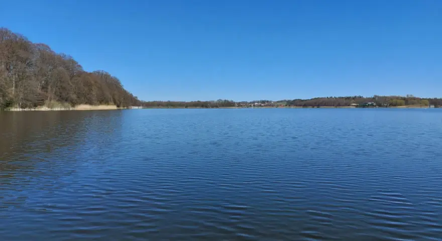 Spokojne jezioro tuchomskie, gdzie w głębinach kryją się ryby. Wiosenna zieleń i błękit nieba.