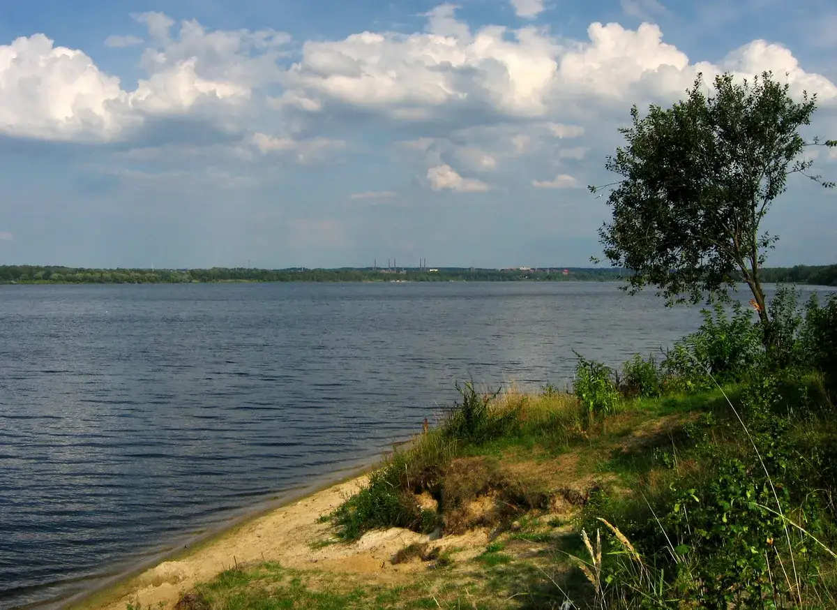 Spokojny, szeroki dzierżno duże z piaszczystym brzegiem i drzewem na pierwszym planie. W oddali widoczny las i kominy.