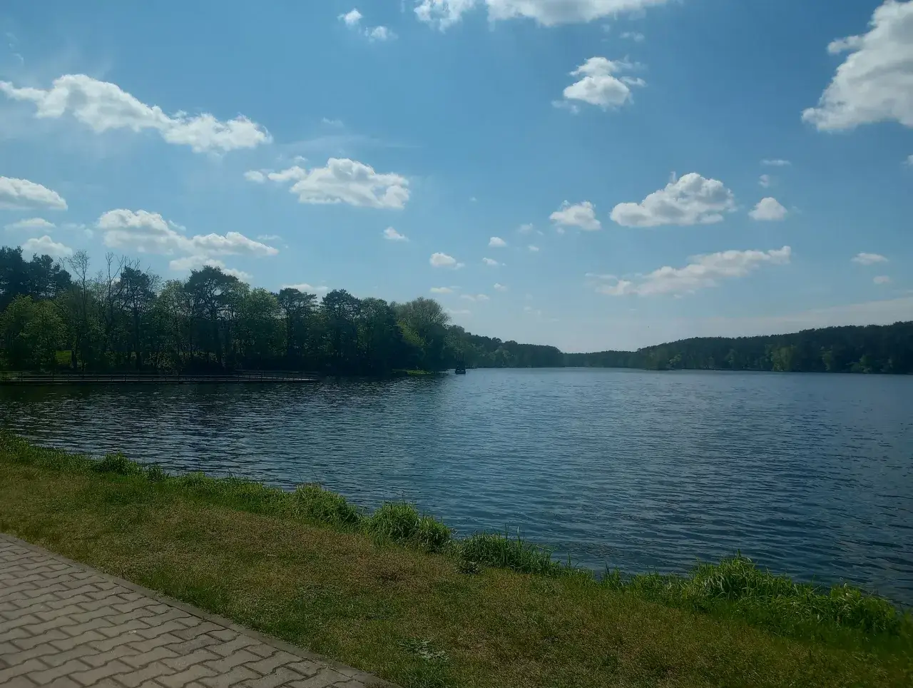 Spokojne jezioro soczewka otoczone zielonymi drzewami, z piaszczystą ścieżką i trawą na pierwszym planie.