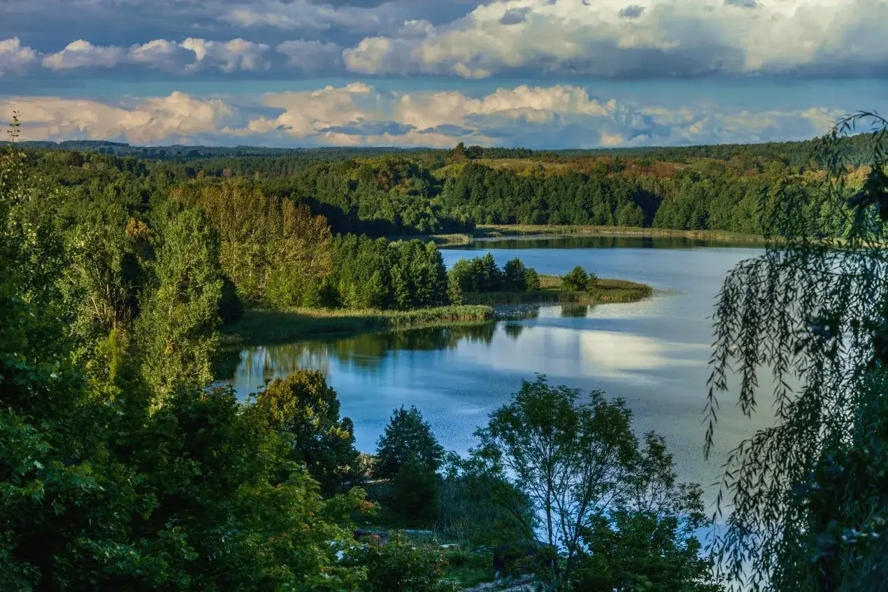 Spokojne jezioro otoczone zielonymi łąkami i lasami, z pofalowanymi chmurami na niebie.