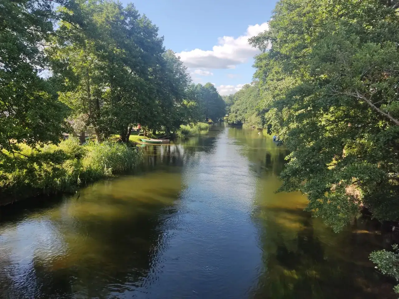 Zielony, spokojny nurt rzeki w otoczeniu drzew, przypomina o urokliwych jeziorach w pomorskim.